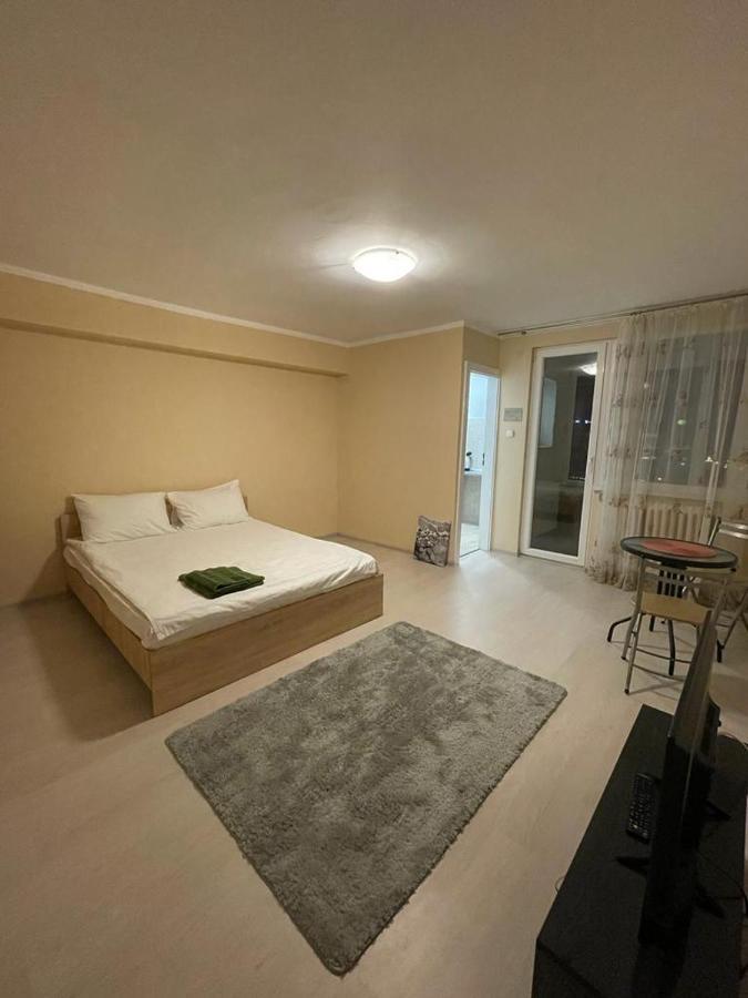 Bega Circumvalatiunii 1 Room Apartament - 2 蒂米什瓦拉 外观 照片