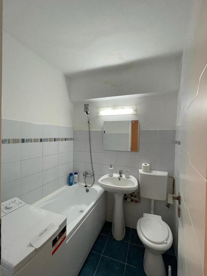 Bega Circumvalatiunii 1 Room Apartament - 2 蒂米什瓦拉 外观 照片